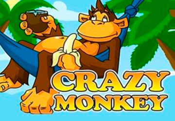 Crazy Monkey