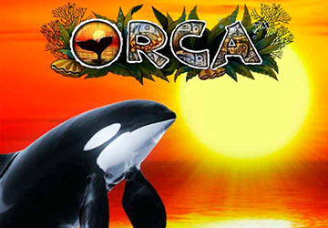 Orca