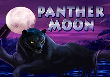 Panther Moon