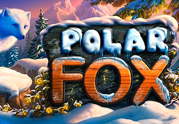 Polar Fox