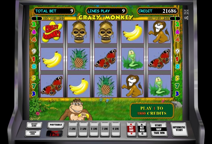 Дизайн слота Crazy Monkey