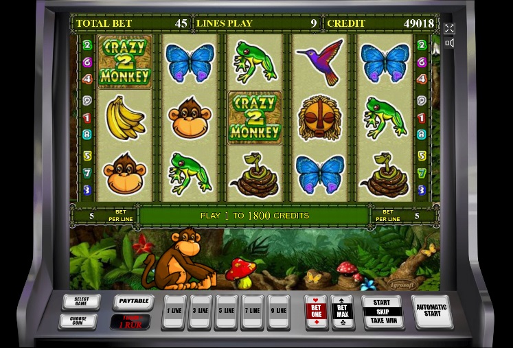 Внешний вид автомата Crazy Monkey 2