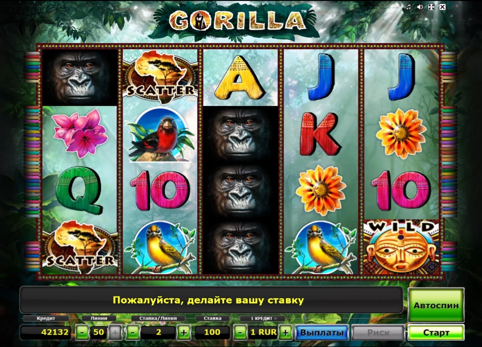 Внешний вид слота Gorilla