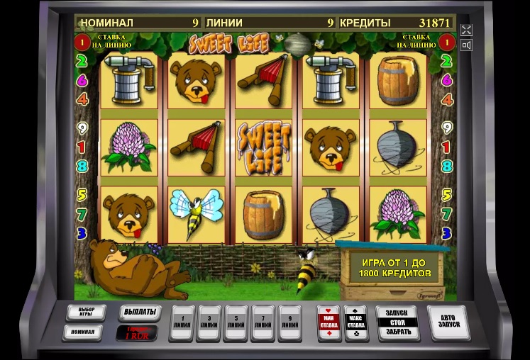 Внешний вид автомата Sweet Life